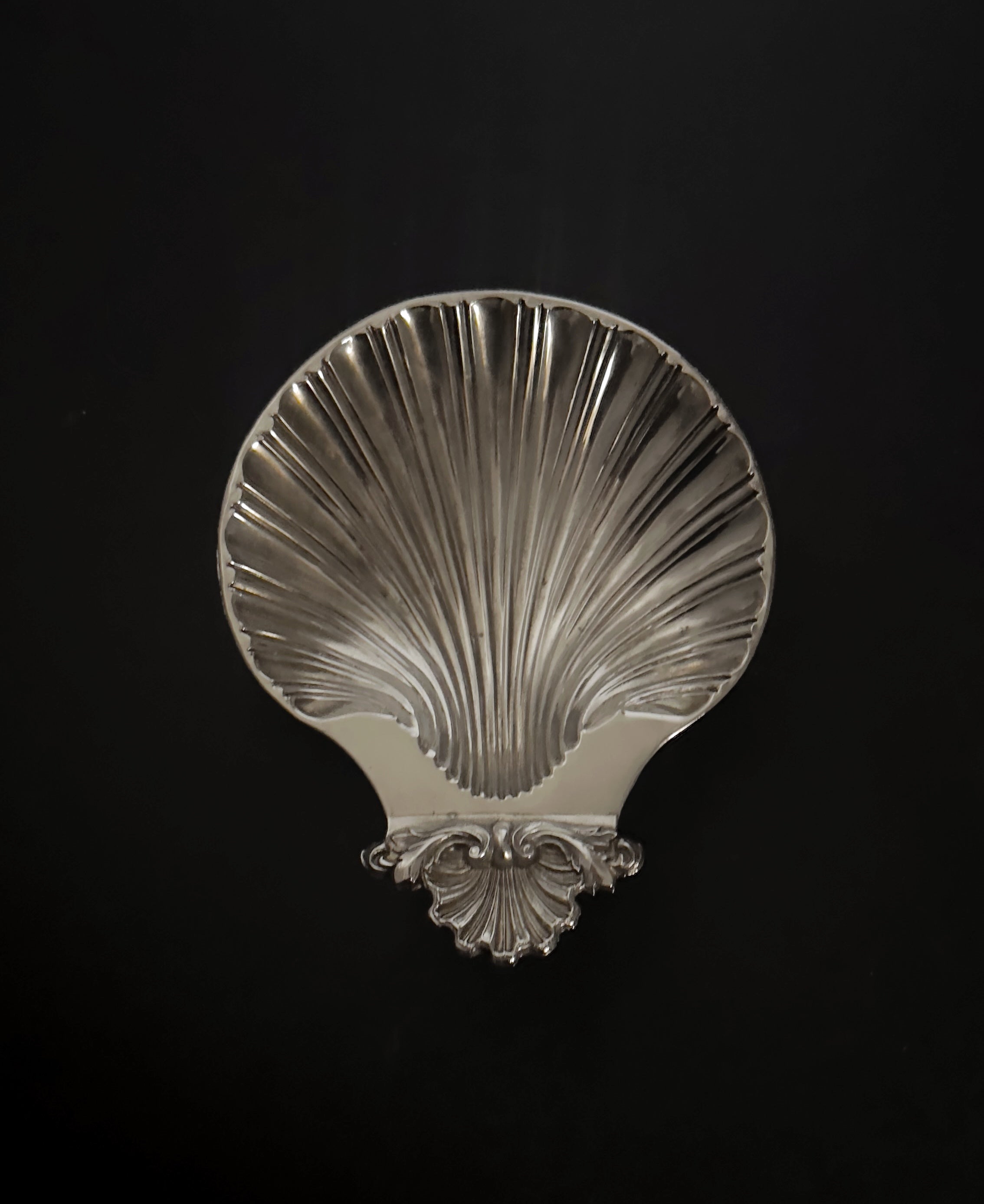 Silver shell-shaped object on a black background